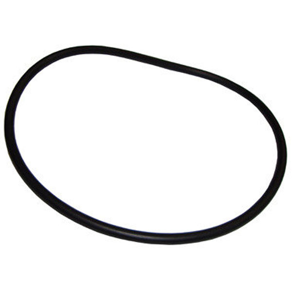 Ikelite 0104 DS200 battery door O-ring