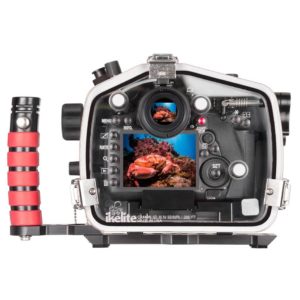 Nikon D3500 Underwater Camera and Housing by Ikelite